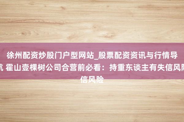 徐州配资炒股门户型网站_股票配资资讯与行情导航 霍山壹棵树公司合营前必看：持重东谈主有失信风险
