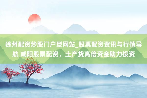 徐州配资炒股门户型网站_股票配资资讯与行情导航 咸阳股票配资,土产货高倍资金助力投资