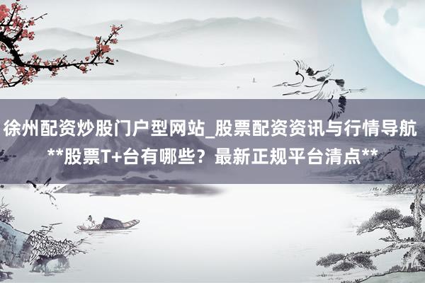 徐州配资炒股门户型网站_股票配资资讯与行情导航 **股票T+台有哪些？最新正规平台清点**